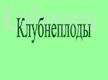 Клубнеплоды