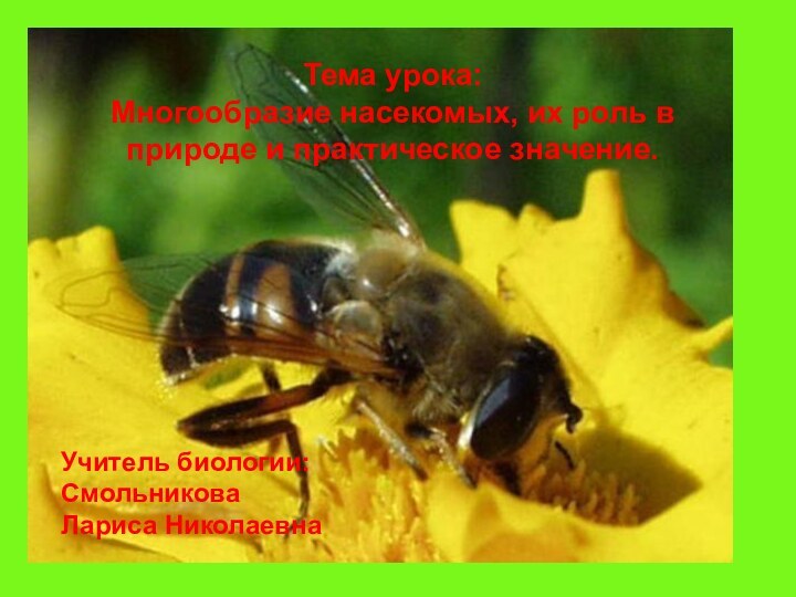 Тема урока: Многообразие насекомых, их роль в природе и практическое значение.Учитель биологии: СмольниковаЛариса Николаевна