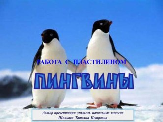 Пингвины. Технология. Работа с пластилином. 1-2 кл.