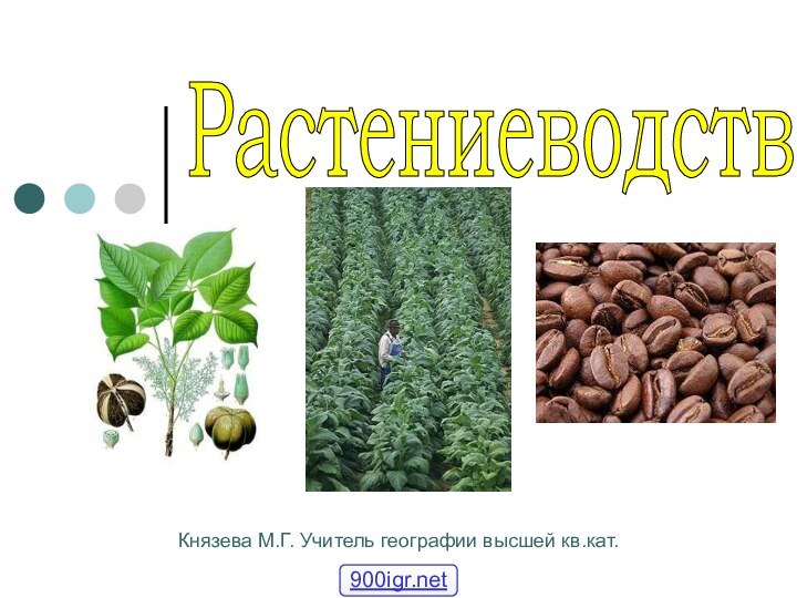 Растениеводство  Князева М.Г. Учитель географии высшей кв.кат.