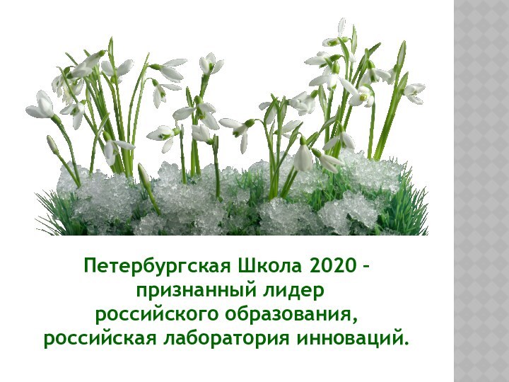 Петербургская Школа 2020 – признанный лидер российского образования, российская лаборатория инноваций.