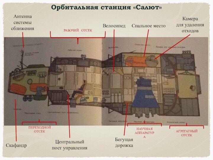 Антеннасистемы сближенияРАБОЧИЙ  ОТСЕКВелосипедСпальное местоКамерадля удаленияотходовСкафандр ПЕРЕХОДНОЙОТСЕКЦентральный пост управленияБегущаядорожкаНАУЧНАЯАППАРАТУРААГРЕГАТНЫЙОТСЕКОрбитальная станция «Салют»