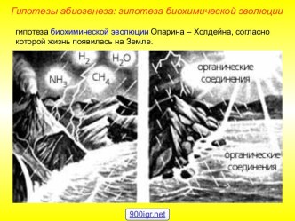 Биохимическая эволюция