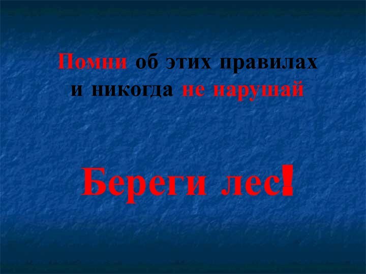 Помни об этих правилахи никогда не нарушайБереги лес!