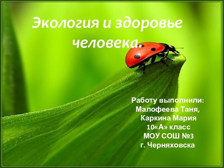 Работу выполнили:Малофеева Таня, Каркина Мария 10«А» класс МОУ СОШ №3г. ЧерняховскаЭкология и здоровье человека.