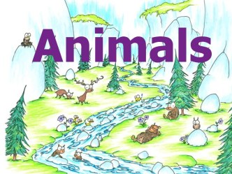 Animals