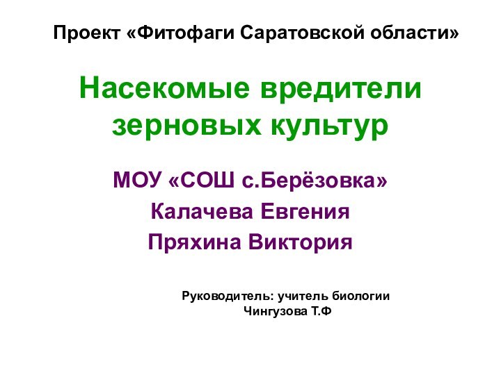 Насекомые вредители зерновых культурМОУ «СОШ с.Берёзовка»Калачева ЕвгенияПряхина ВикторияРуководитель: учитель биологии Чингузова Т.ФПроект «Фитофаги Саратовской области»