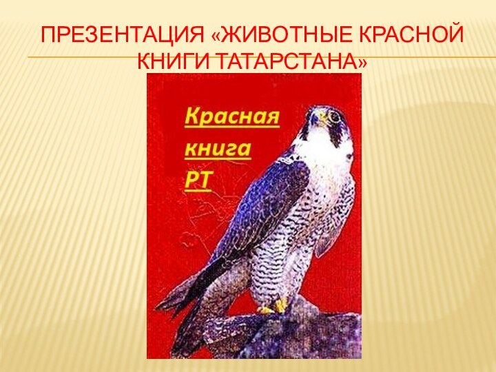 ПРЕЗЕНТАЦИЯ «Животные красной книги татарстана»