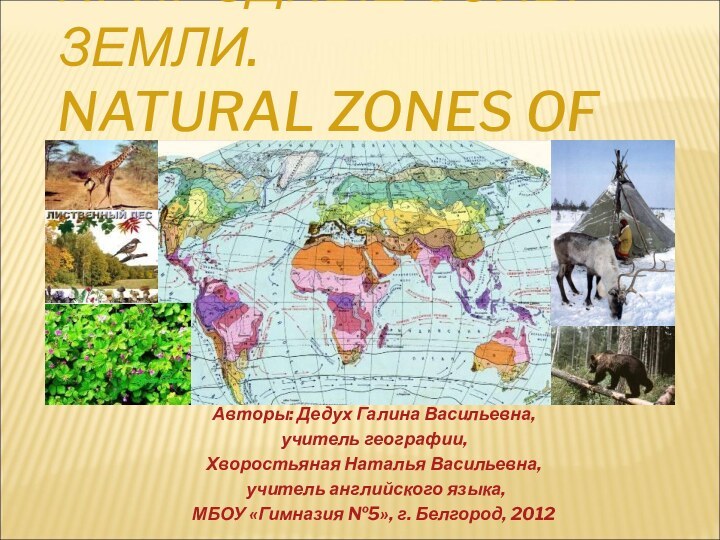 ПРИРОДНЫЕ ЗОНЫ ЗЕМЛИ. NATURAL ZONES OF THE EARTH.Авторы: Дедух Галина Васильевна, учитель