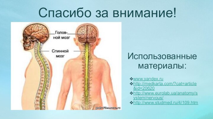 Использованные материалы:www.yandex.ruhttp://medkarta.com/?cat=article&id=20620http://www.eurolab.ua/anatomy/system/nervous/http://www.studmed.ru/4/109.htmСпасибо за внимание!