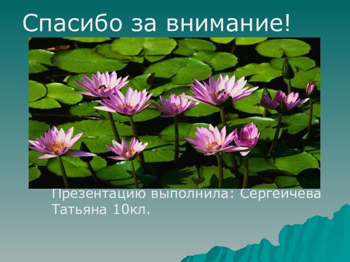 Спасибо за внимание!Презентацию выполнила: Сергеичева Татьяна 10кл.