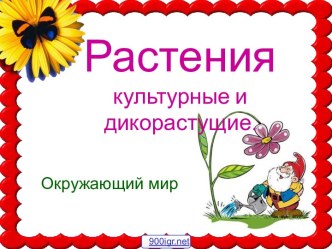 Культурные и дикорастущие