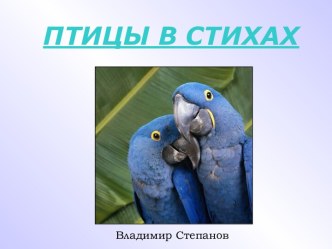 птицы в стихах