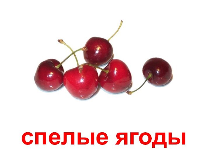 спелые ягоды