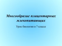 Многообразие плацентарных млекопитающих