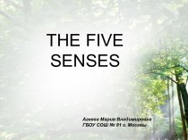 The five senses