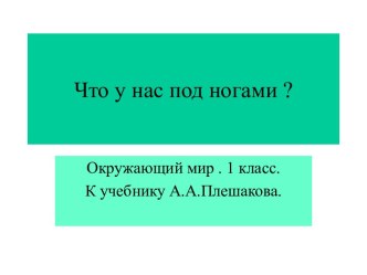 Что у нас под ногами ?