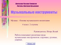 Виды музыкальных инструментов