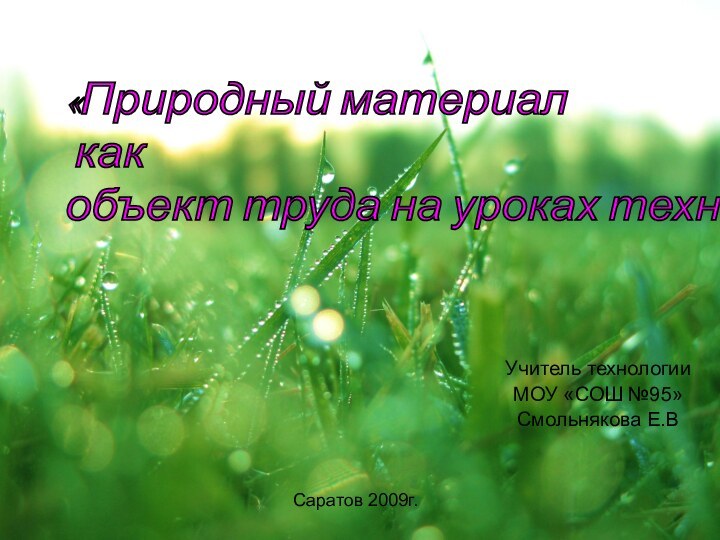 Учитель технологииМОУ «СОШ №95»Смольнякова Е.ВСаратов 2009г.«Природный материал   как  объект труда на уроках технологии»