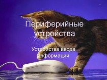 Периферийные устройства