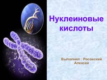 Нуклеиновые кислоты 10 класс