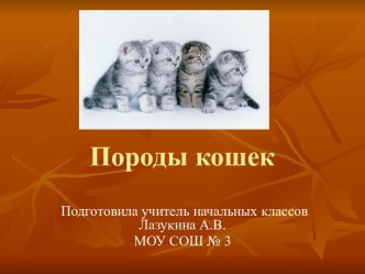 Породы кошек