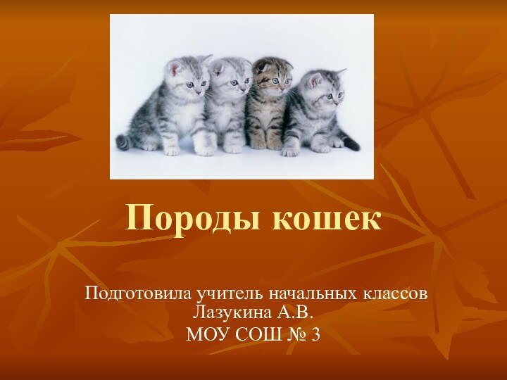 Породы кошекПодготовила учитель начальных классов Лазукина А.В.МОУ СОШ № 3