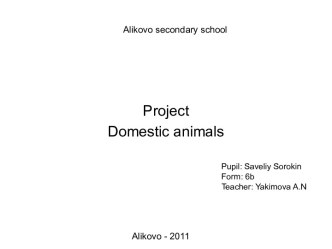 Projeсt Domestic animals