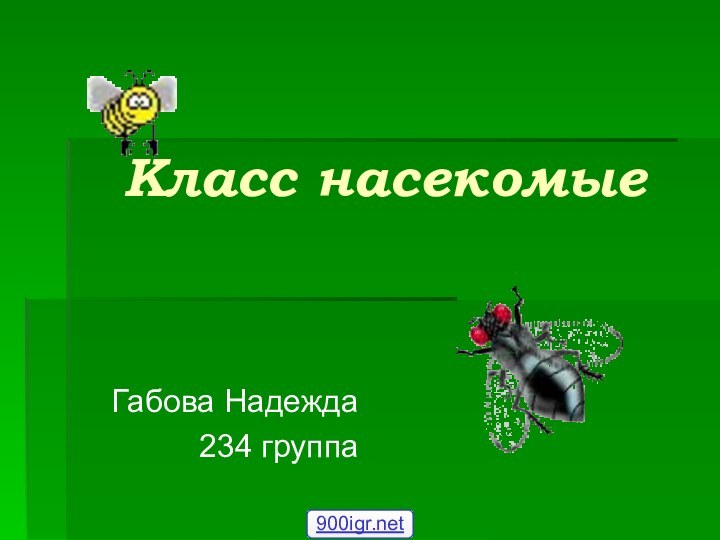 Класс насекомыеГабова Надежда234 группа