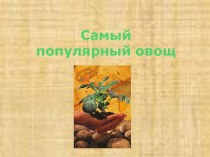 Самый популярный овощ