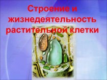 Строение и жизнедеятельность растительной клетки