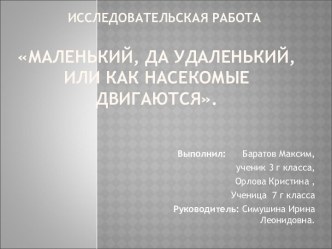 Маленький, да удаленький, или как насекомые двигаются