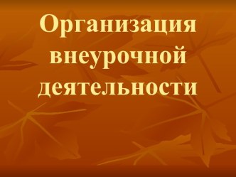 Организация внеурочной деятельности