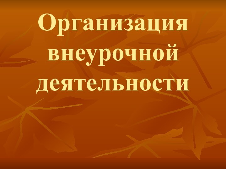 Организация  внеурочной деятельности