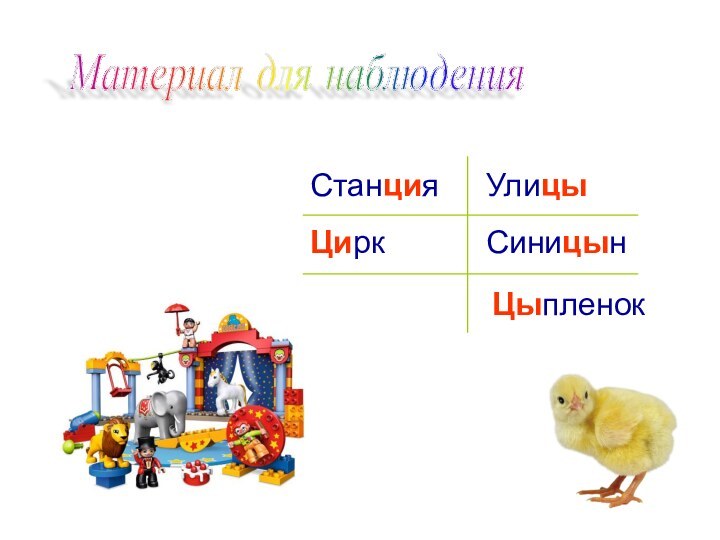 Материал для наблюдения СтанцияЦиркУлицыСиницынЦыпленок