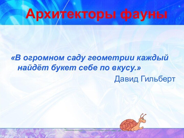 Архитекторы фауны«В огромном саду геометрии каждый найдёт букет себе по вкусу.»