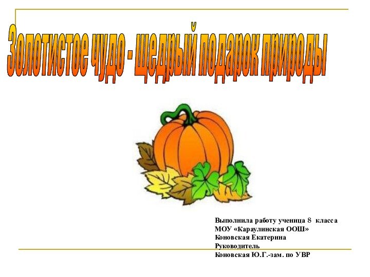 Золотистое чудо - щедрый подарок природыВыполнила работу ученица 8 классаМОУ «Караулинская ООШ»Коновская ЕкатеринаРуководительКоновская Ю.Г.-зам. по УВР