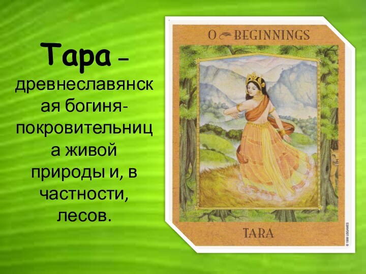 Тара – древнеславянская богиня-покровительница живой природы и, в частности, лесов.