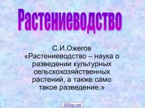 Культуры растений