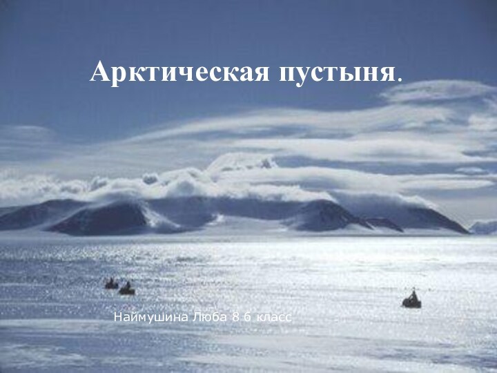 Арктическая пустыня. Арктическая пустыня. Арктическая пустыня. Наймушина Люба 8 б класс