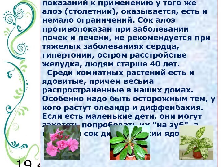 19.4.11 Но при огромном количестве показаний к применению у того же алоэ