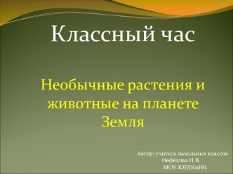 Необычные растения и животные на планете Земля