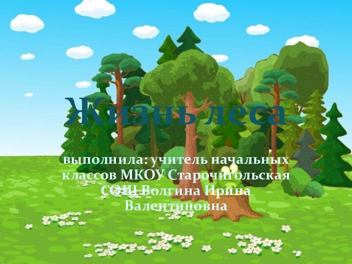 Жизнь леса выполнила: учитель начальных классов МКОУ Старочигольская СОШ Волгина Ирина Валентиновна