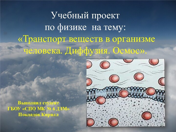 Учебный проект по физике на тему: «Транспорт веществ в организме человека. Диффузия.