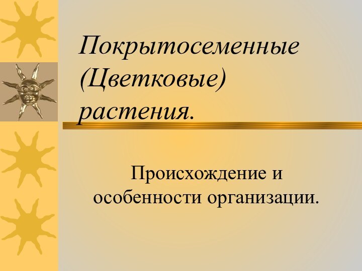 Покрытосеменные (Цветковые) растения.Происхождение и особенности организации.