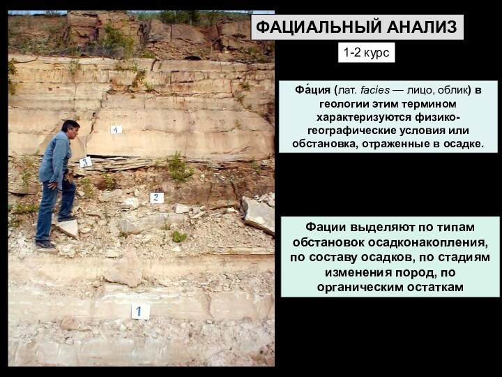 1-2 курсФа́ция (лат. facies — лицо, облик) в геологии этим термином характеризуются