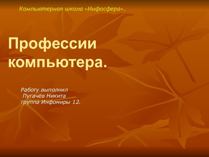 Профессии компьютера.Работу выполнил Пугачёв Никитагруппа Инфомиры 12.Компьютерная школа «Инфосфера».