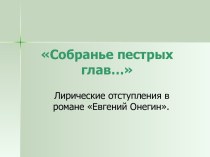 Собранье пестрых глав… Лирические отступления в романе Евгений Онегин