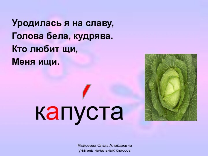 Моисеева Ольга Алексеевна учитель начальных классовУродилась я на славу,Голова бела, кудрява.Кто любит щи,Меня ищи.капуста