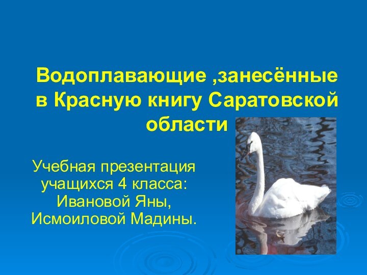 Водоплавающие ,занесённые в Красную книгу Саратовской областиУчебная презентация учащихся 4 класса: Ивановой Яны, Исмоиловой Мадины.